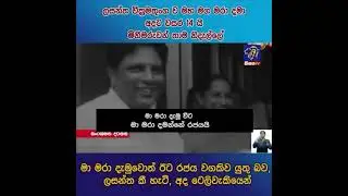 Lasantha Wickrematunge A Parogon Of Democracy