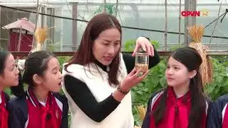 Thí Nghiệm 