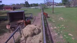 Drone adventure at Piney Shores Resort (Phantom 3)