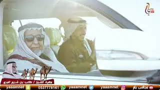 منقية الشيخ / طالب بن شريم المري في مهرجان الملك عبدالعزيز للإبل _ 4 على مجالس يام