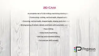 Pegasus CADCAM 3D Milling Wood