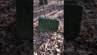 Ruiny średniowiecznego grodu w Lesie Sołtysowickim - podgrodzie i grodzisko #podgrodzie #grodzisko