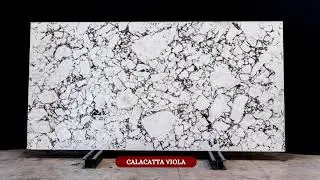 Calacatta Viola Quartz - NobleStoneUK