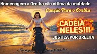 musica - Homenagem a Orelha cão vítima da maldade