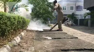 Professional Fumigation Services That Keep Your Home Pest-Free!&rdquo;