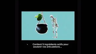 ChondroFlex, votre m&eacute;dicament de confort articulaire 