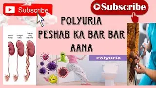 POLYURIA#doctor#helth#pharmacy#nuskhe#peshab ka bar bar ana ||diabetes