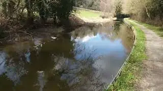 A walk along the Montgomery Canal  part 5