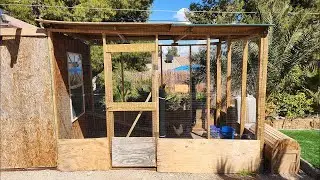 DIY Chicken Coop Built Using Scrap Lumber