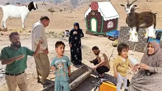 UnitedPurposeThe Heart of Friendship Nasibollah and Javad&rsquo;s Heartfelt Collaboration for Elena&rsquo;s Home