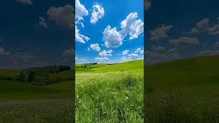 How Nature Reclaims the Earth | Nature| Meditation| feelings