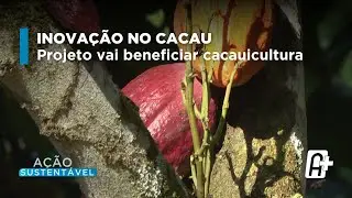 Projeto BioCabruca: nanotecnologia e cacau no sul da BA | Ação Sustentável