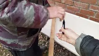Дикий зоопарк и наша жизнь.