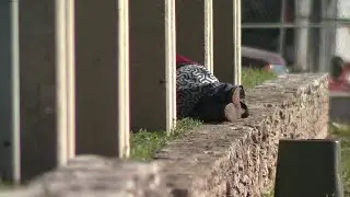 Rising housing costs push more Bexar County residents into homelessness, data shows