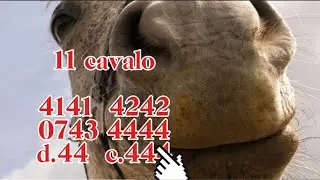 Sugest&otilde;es especiais para Domingo 11/01/26/ aten&ccedil;&atilde;o nas modalidades do Dia