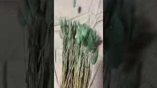 Green Bunny Tails