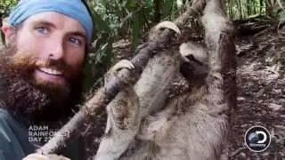 Ever Gotten A Selfie With A Sloth This Guy Just Did!   The Wheel