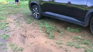 Indonesian Couple Drive Wuling Almaz Got Stuck In the Mud