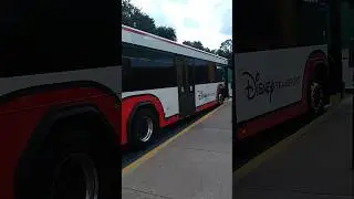 Disney's Animal Kingdom bus idling at All Star Sports #disneytransportation