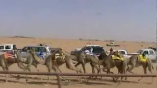شلهب لعطالله الشراري