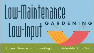 Low-Maintenance, Low-Input Gardening
