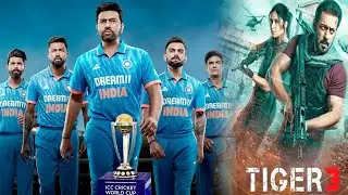 Cricket World Cup Affecting Earnings Of Superhit Tiger 3