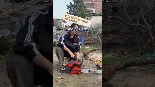 HUPAI & V90 Chainsaws (Made in China) &ndash; Cutting Power Test #xuhuongyoutube #chainsaw