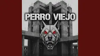 Perro Viejo