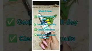 Jenpharm niaronic serum review #Jenpharm #PoreMinimizer #OilControl #PakistaniSkincare #shorts
