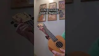 23 Inches Ukulele for Beginners - Rixton Concert Size Ukulele 23 Inch String Music Instrument