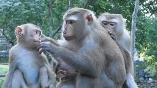 Our Cute Rainbow Start Learning To be Momma - How Beautiful Luna Family