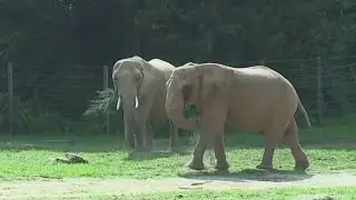 North Carolina Zoo to host seasonal job fair