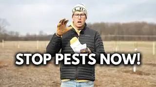 Reduce Pest and Disease by 80% With a Dormant Spray