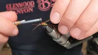 Stonefly nymph