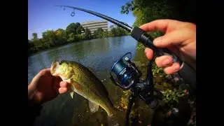 BEST Live Bait, Bait Feeder Reel for UNDER $40 -- KastKing Pontus Bait Feeder Review!!!!
