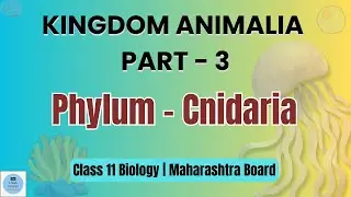 Phylum Cnidaria | Kingdom Animalia Part 3 | Class 11 Biology | Maharashtra Board | E-Study Tutorials