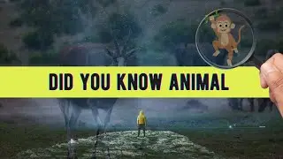Most Unexpected Facts about ANIMAL that Blow your Mind #facts #funfacts 