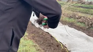 Pilat : les agriculteurs se forment &agrave; la plantation durable des haies