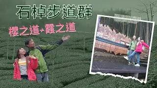 跟著我們去阿里山的茶園吧 ~ 整個解放你的心 #老夫老妻
