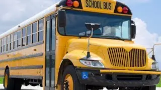 We Finally Know Why Buses Don't Have Seatbelts