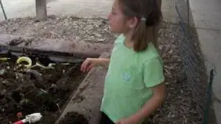 Diggin' worms