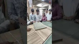 Exploring Craftsmanship at D.S. Doors India Ltd. 🔨✨