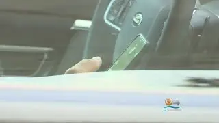 App Reveals Miami&rsquo;s Top Distracted Roads