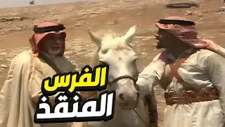 الفرس انقذ شيخ العشيرة في أصعب مواجهة أغرب القصص البدوية