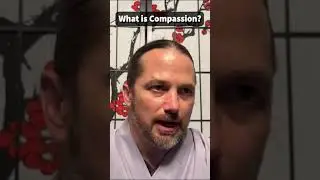 What is compassion? | THE ZEN ART CENTER | MIND LIGHT WAY