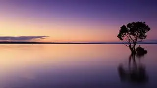 Sad Emotional Violin Rap Beat 
