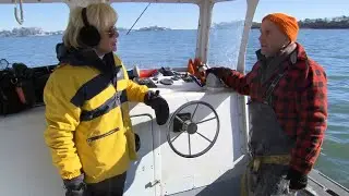 60 Minutes reports on seaweed farming and its surprising possibilities