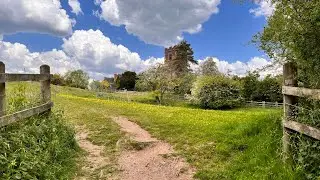 Weekly walk #6: Wychnor, The National Forest | ASMR | No Music | Nature Sounds