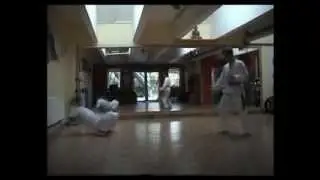 Form Showkampf Freestyle Kampf