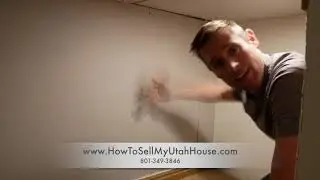 Mold Tips When Selling Your House (How To Sell A House Fast)(We Buy Houses)Salt Lake City Utah